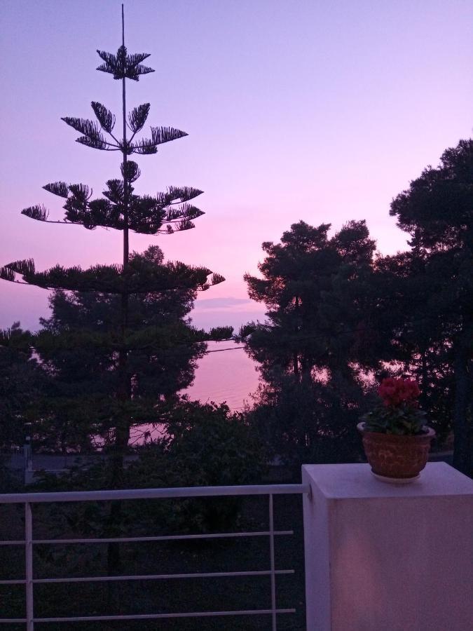 Iliahtida Διαμέρισμα Χαλκίδα Εξωτερικό φωτογραφία